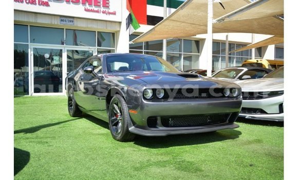 Imported Dodge Challenger Other Makiinaa iti Import - Dubai keessatti Central Kenya keessatti