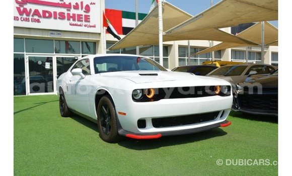 Buy Import Dodge Challenger White Car in Import - Dubai in Central Kenya Buy Import Dodge Challenger White Car in Import - Dubai in Central Kenya
