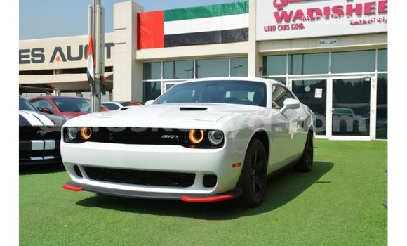 Buy Import Dodge Challenger White Car in Import - Dubai in Central Kenya Buy Import Dodge Challenger White Car in Import - Dubai in Central Kenya