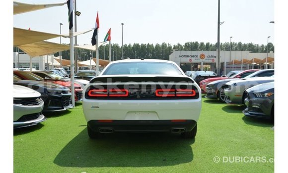 Buy Import Dodge Challenger White Car in Import - Dubai in Central Kenya Buy Import Dodge Challenger White Car in Import - Dubai in Central Kenya