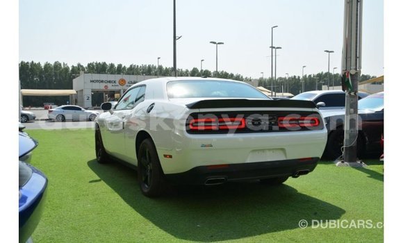 Buy Import Dodge Challenger White Car in Import - Dubai in Central Kenya Buy Import Dodge Challenger White Car in Import - Dubai in Central Kenya