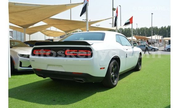 Buy Import Dodge Challenger White Car in Import - Dubai in Central Kenya Buy Import Dodge Challenger White Car in Import - Dubai in Central Kenya