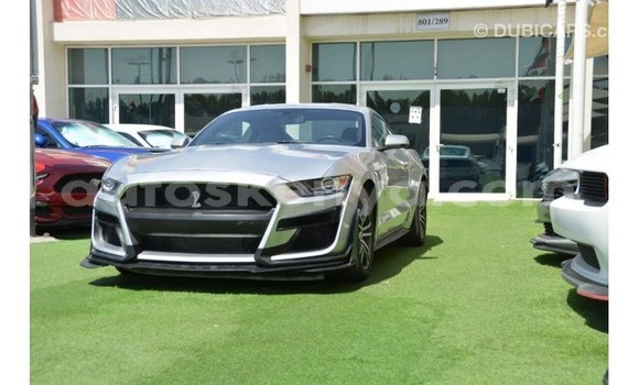 Imported Ford Mustang Other Makiinaa iti Import - Dubai keessatti Central Kenya keessatti Imported Ford Mustang Other Makiinaa iti Import - Dubai keessatti Central Kenya keessatti