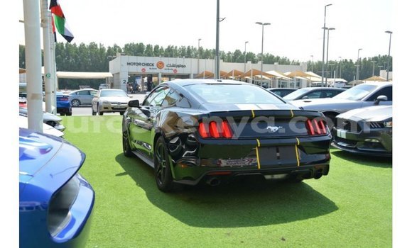 Nunua Imported Ford Mustang Nyeusi Gari ndani ya Import - Dubai nchini Kati Kenya Nunua Imported Ford Mustang Nyeusi Gari ndani ya Import - Dubai nchini Kati Kenya