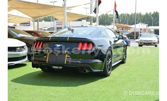Nunua Imported Ford Mustang Nyeusi Gari ndani ya Import - Dubai nchini Kati Kenya Nunua Imported Ford Mustang Nyeusi Gari ndani ya Import - Dubai nchini Kati Kenya