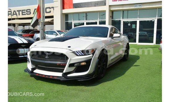 Imported Ford Mustang White Makiinaa iti Import - Dubai keessatti Central Kenya keessatti Imported Ford Mustang White Makiinaa iti Import - Dubai keessatti Central Kenya keessatti