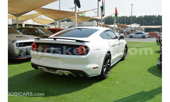 Imported Ford Mustang White Makiinaa iti Import - Dubai keessatti Central Kenya keessatti Imported Ford Mustang White Makiinaa iti Import - Dubai keessatti Central Kenya keessatti