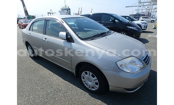 Nunua Imported Toyota Corolla Beige Gari ndani ya Import - Dubai nchini Kati Kenya Nunua Imported Toyota Corolla Beige Gari ndani ya Import - Dubai nchini Kati Kenya