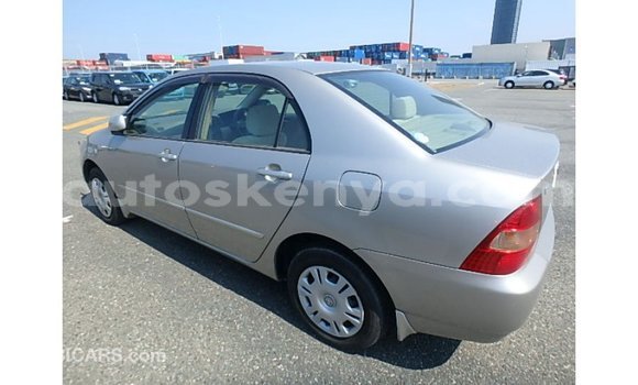 Nunua Imported Toyota Corolla Beige Gari ndani ya Import - Dubai nchini Kati Kenya Nunua Imported Toyota Corolla Beige Gari ndani ya Import - Dubai nchini Kati Kenya