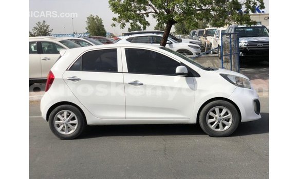 Buy Import Kia Picanto White Car in Import - Dubai in Central Kenya Buy Import Kia Picanto White Car in Import - Dubai in Central Kenya