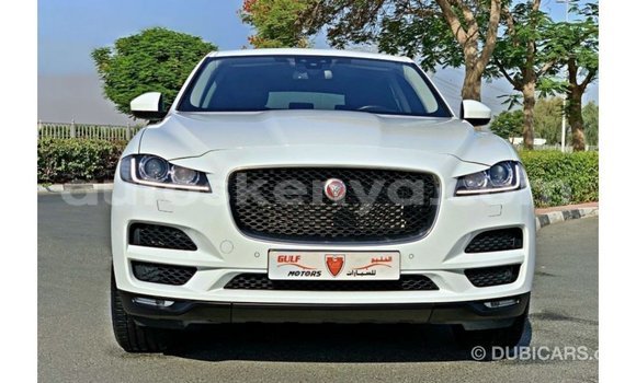 Nunua Imported Jaguar F-Pace Nyeupe Gari ndani ya Import - Dubai nchini Kati Kenya Nunua Imported Jaguar F-Pace Nyeupe Gari ndani ya Import - Dubai nchini Kati Kenya