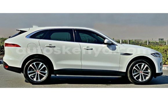 Nunua Imported Jaguar F-Pace Nyeupe Gari ndani ya Import - Dubai nchini Kati Kenya Nunua Imported Jaguar F-Pace Nyeupe Gari ndani ya Import - Dubai nchini Kati Kenya