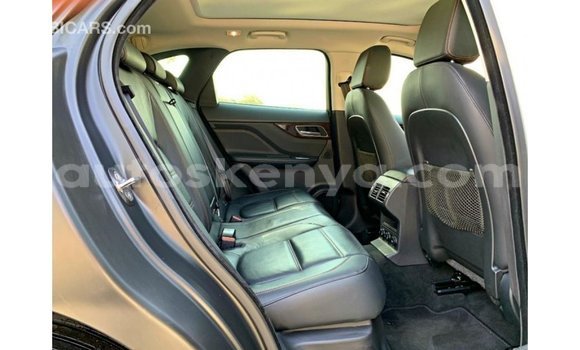 Nunua Imported Jaguar F-Pace Nyeupe Gari ndani ya Import - Dubai nchini Kati Kenya Nunua Imported Jaguar F-Pace Nyeupe Gari ndani ya Import - Dubai nchini Kati Kenya