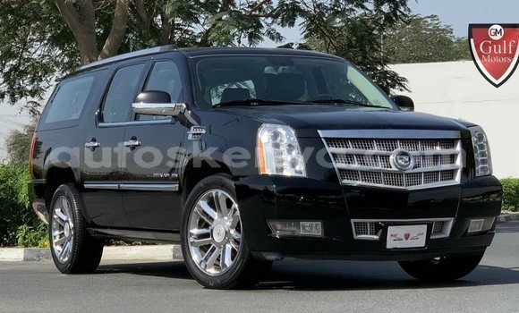 Imported Cadillac Escalade Black Makiinaa iti Import - Dubai keessatti Central Kenya keessatti
