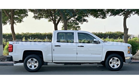 Imported Chevrolet Silverado White Makiinaa iti Import - Dubai keessatti Central Kenya keessatti Imported Chevrolet Silverado White Makiinaa iti Import - Dubai keessatti Central Kenya keessatti