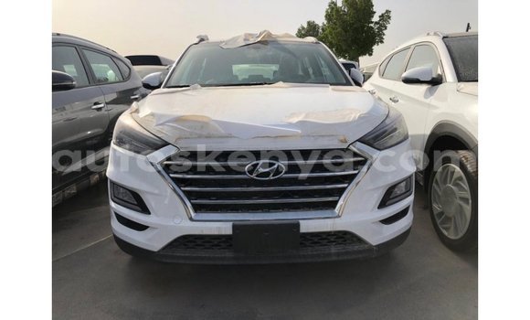 Buy Import Hyundai Tucson White Car in Import - Dubai in Central Kenya Buy Import Hyundai Tucson White Car in Import - Dubai in Central Kenya