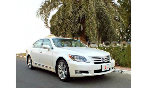 Buy Import Lexus LS White Car in Import - Dubai in Central Kenya