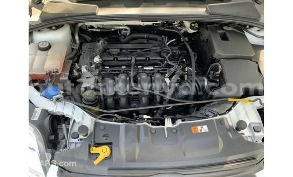 Buy Import Ford Focus White Car in Import - Dubai in Central Kenya Buy Import Ford Focus White Car in Import - Dubai in Central Kenya