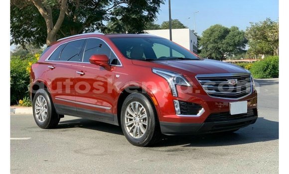 Imported Cadillac XT5 Red Makiinaa iti Import - Dubai keessatti Central Kenya keessatti