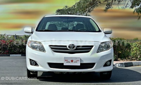 Buy Import Toyota Corolla White Car in Import - Dubai in Central Kenya Buy Import Toyota Corolla White Car in Import - Dubai in Central Kenya