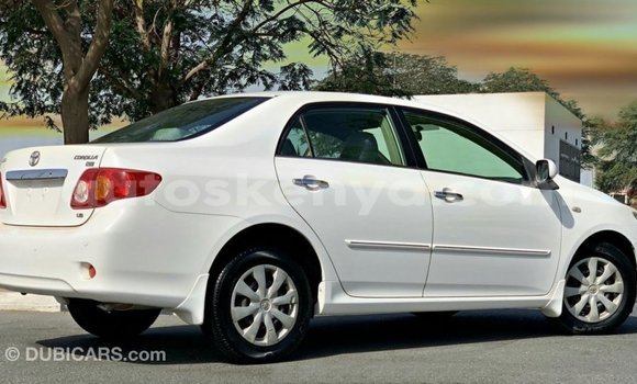 Buy Import Toyota Corolla White Car in Import - Dubai in Central Kenya Buy Import Toyota Corolla White Car in Import - Dubai in Central Kenya