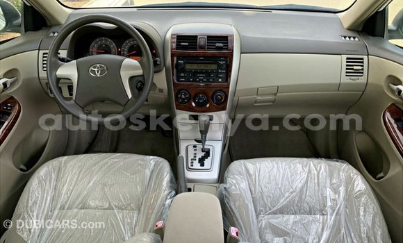 Buy Import Toyota Corolla White Car in Import - Dubai in Central Kenya Buy Import Toyota Corolla White Car in Import - Dubai in Central Kenya