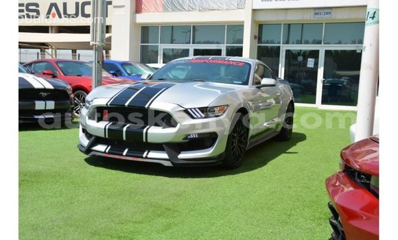 Buy Import Ford Mustang Other Car in Import - Dubai in Central Kenya Buy Import Ford Mustang Other Car in Import - Dubai in Central Kenya