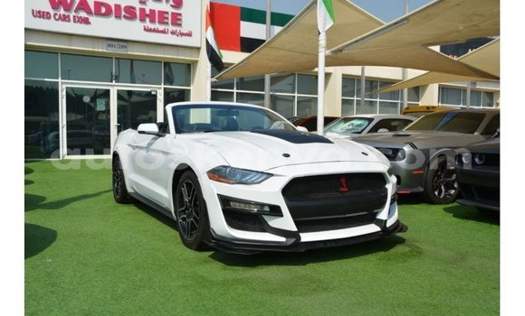 Imported Ford Mustang White Makiinaa iti Import - Dubai keessatti Central Kenya keessatti Imported Ford Mustang White Makiinaa iti Import - Dubai keessatti Central Kenya keessatti