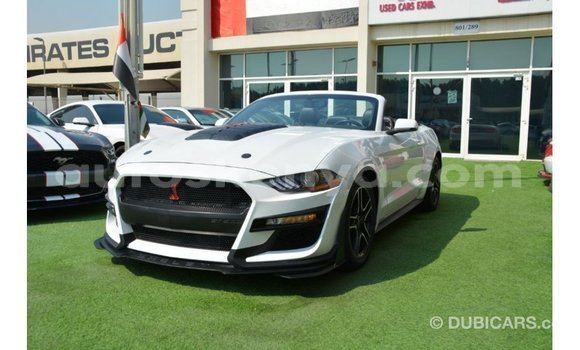 Imported Ford Mustang White Makiinaa iti Import - Dubai keessatti Central Kenya keessatti Imported Ford Mustang White Makiinaa iti Import - Dubai keessatti Central Kenya keessatti