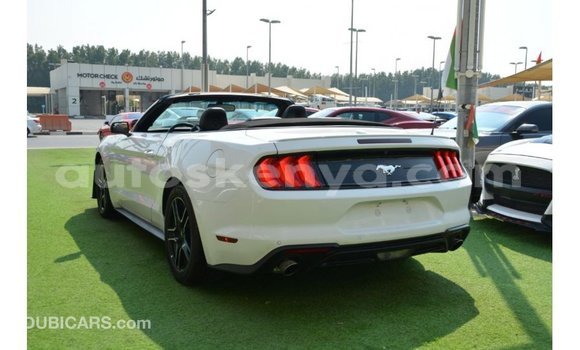 Imported Ford Mustang White Makiinaa iti Import - Dubai keessatti Central Kenya keessatti Imported Ford Mustang White Makiinaa iti Import - Dubai keessatti Central Kenya keessatti