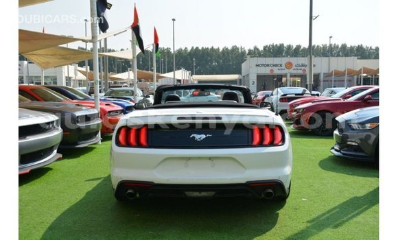 Imported Ford Mustang White Makiinaa iti Import - Dubai keessatti Central Kenya keessatti Imported Ford Mustang White Makiinaa iti Import - Dubai keessatti Central Kenya keessatti