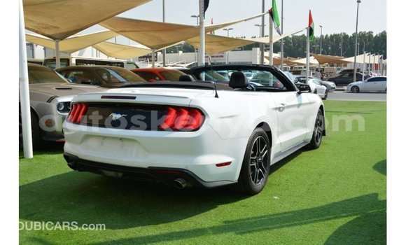 Imported Ford Mustang White Makiinaa iti Import - Dubai keessatti Central Kenya keessatti Imported Ford Mustang White Makiinaa iti Import - Dubai keessatti Central Kenya keessatti