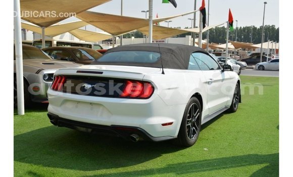 Imported Ford Mustang White Makiinaa iti Import - Dubai keessatti Central Kenya keessatti Imported Ford Mustang White Makiinaa iti Import - Dubai keessatti Central Kenya keessatti