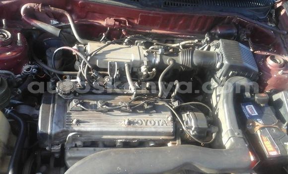 Oofamaa Toyota Starlet Red Makiinaa iti Ol Kalou keessatti Central Kenya keessatti Oofamaa Toyota Starlet Red Makiinaa iti Ol Kalou keessatti Central Kenya keessatti