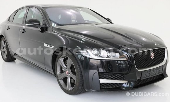 Nunua Imported Jaguar XF Nyeusi Gari ndani ya Import - Dubai nchini Kati Kenya Nunua Imported Jaguar XF Nyeusi Gari ndani ya Import - Dubai nchini Kati Kenya