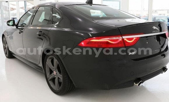 Nunua Imported Jaguar XF Nyeusi Gari ndani ya Import - Dubai nchini Kati Kenya Nunua Imported Jaguar XF Nyeusi Gari ndani ya Import - Dubai nchini Kati Kenya