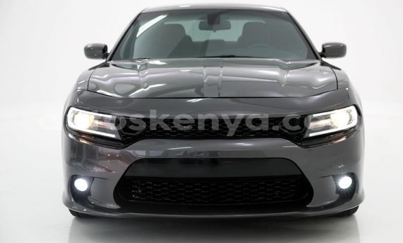 Imported Dodge Charger Other Makiinaa iti Import - Dubai keessatti Central Kenya keessatti