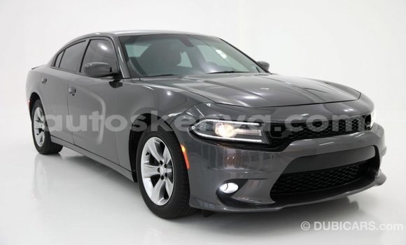 Nunua Imported Dodge Charger Nyingine Gari ndani ya Import - Dubai nchini Kati Kenya Nunua Imported Dodge Charger Nyingine Gari ndani ya Import - Dubai nchini Kati Kenya