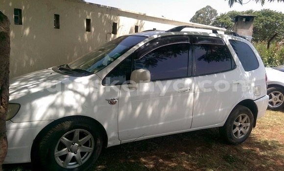 Oofamaa Toyota Spacio White Makiinaa iti Ol Kalou keessatti Central Kenya keessatti