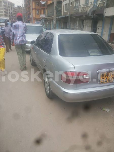 Big with watermark 24959109 1372679829509431 2290911251372580814 o