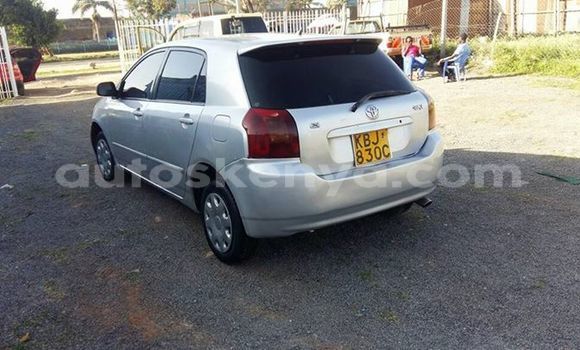 Oofamaa Toyota Runx Silver Makiinaa iti Ol Kalou keessatti Central Kenya keessatti Oofamaa Toyota Runx Silver Makiinaa iti Ol Kalou keessatti Central Kenya keessatti