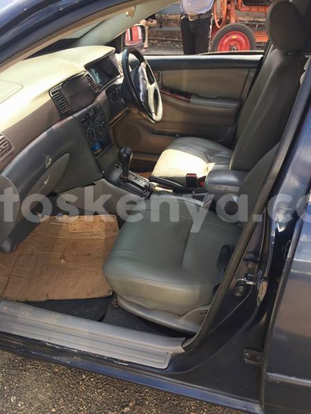 Big with watermark 25075045 1436706473124388 2663118157098388861 o