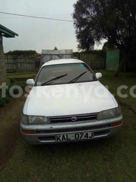 Big with watermark 24959109 1372679829509431 2290911251372580814 o