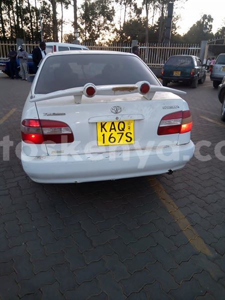 Big with watermark 24959109 1372679829509431 2290911251372580814 o