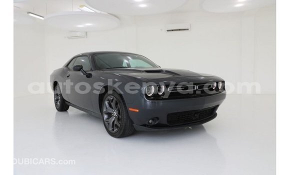 Buy Import Dodge Challenger Blue Car in Import - Dubai in Central Kenya Buy Import Dodge Challenger Blue Car in Import - Dubai in Central Kenya
