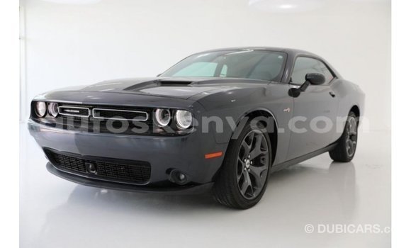 Buy Import Dodge Challenger Blue Car in Import - Dubai in Central Kenya Buy Import Dodge Challenger Blue Car in Import - Dubai in Central Kenya