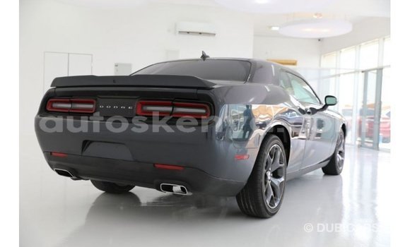 Buy Import Dodge Challenger Blue Car in Import - Dubai in Central Kenya Buy Import Dodge Challenger Blue Car in Import - Dubai in Central Kenya