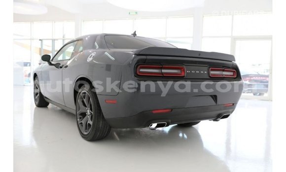 Buy Import Dodge Challenger Blue Car in Import - Dubai in Central Kenya Buy Import Dodge Challenger Blue Car in Import - Dubai in Central Kenya