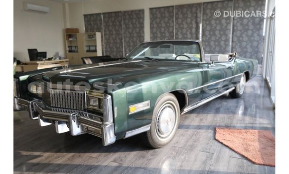 Imported Cadillac Escalade Green Makiinaa iti Import - Dubai keessatti Central Kenya keessatti Imported Cadillac Escalade Green Makiinaa iti Import - Dubai keessatti Central Kenya keessatti