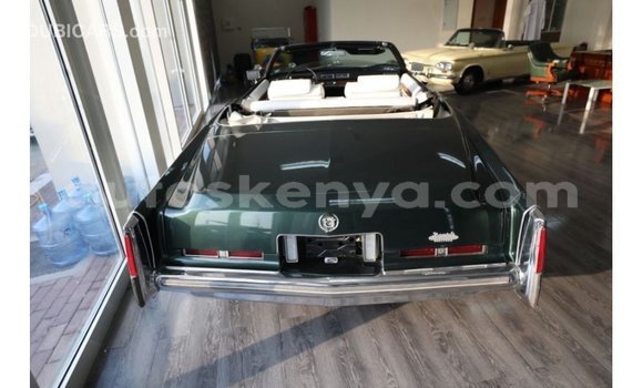 Imported Cadillac Escalade Green Makiinaa iti Import - Dubai keessatti Central Kenya keessatti Imported Cadillac Escalade Green Makiinaa iti Import - Dubai keessatti Central Kenya keessatti